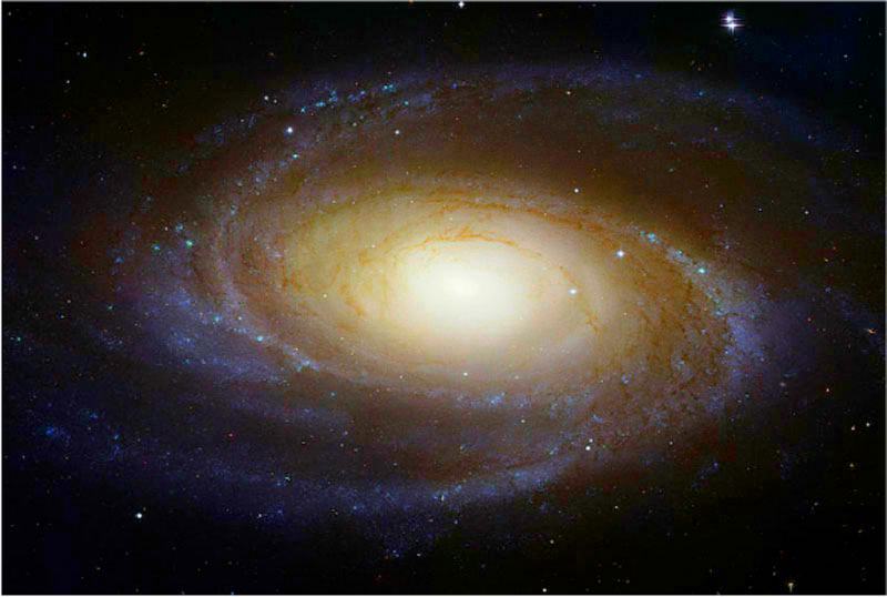 Large Magellanic Cloud